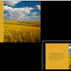 Illustration for article titled Windows 8.1 Universal Apps Can Run On Desktop, Mobile, and Xbox